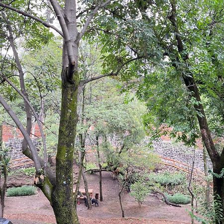 Mi Refugio San Angel Βίλα Μεξικό Εξωτερικό φωτογραφία