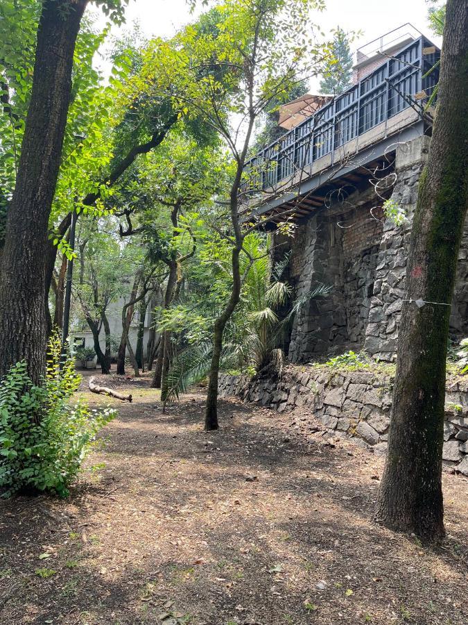 Mi Refugio San Angel Βίλα Μεξικό Εξωτερικό φωτογραφία